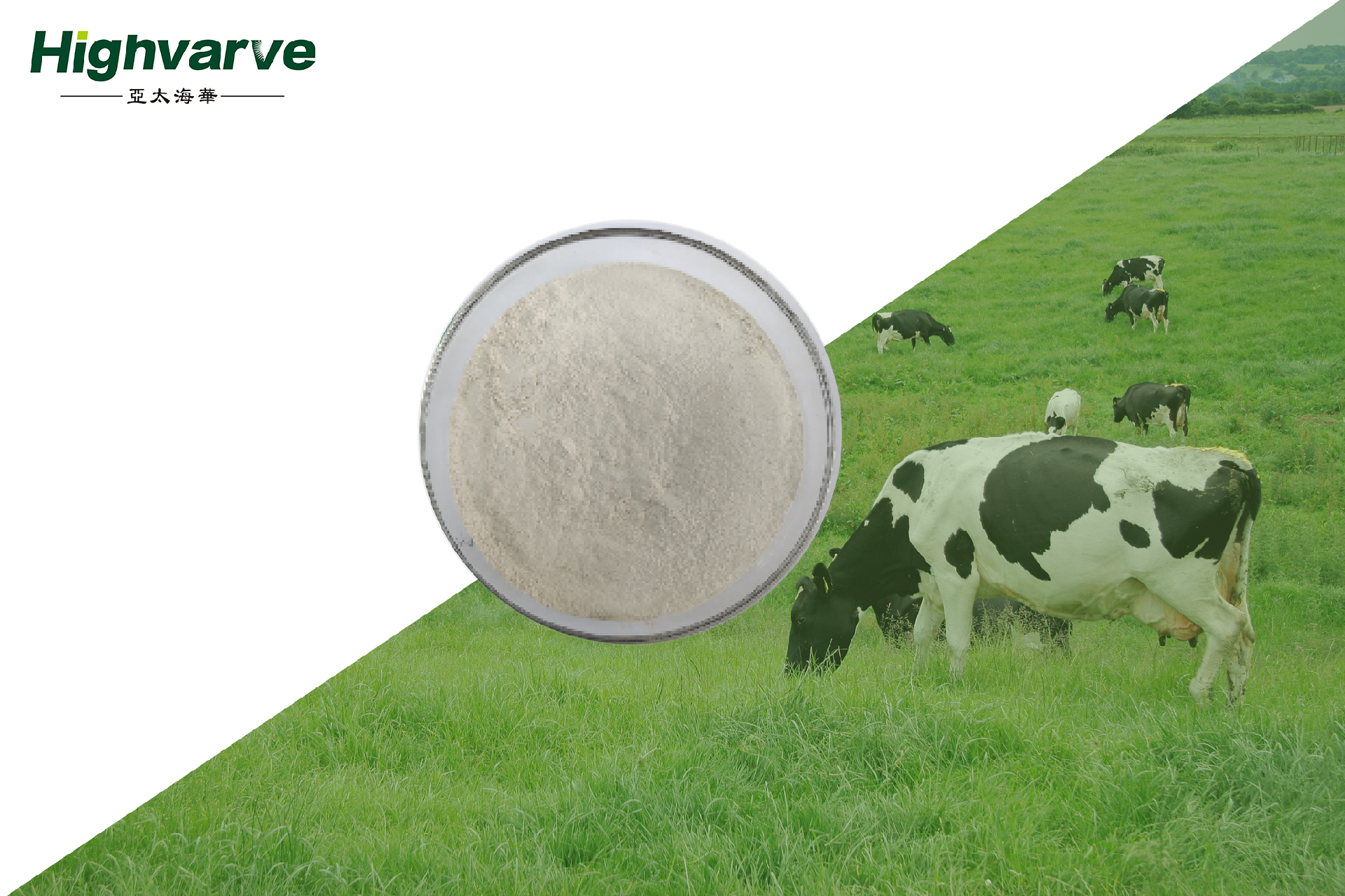 Calcium Butyrate (Intestinal Health Feed Additive)