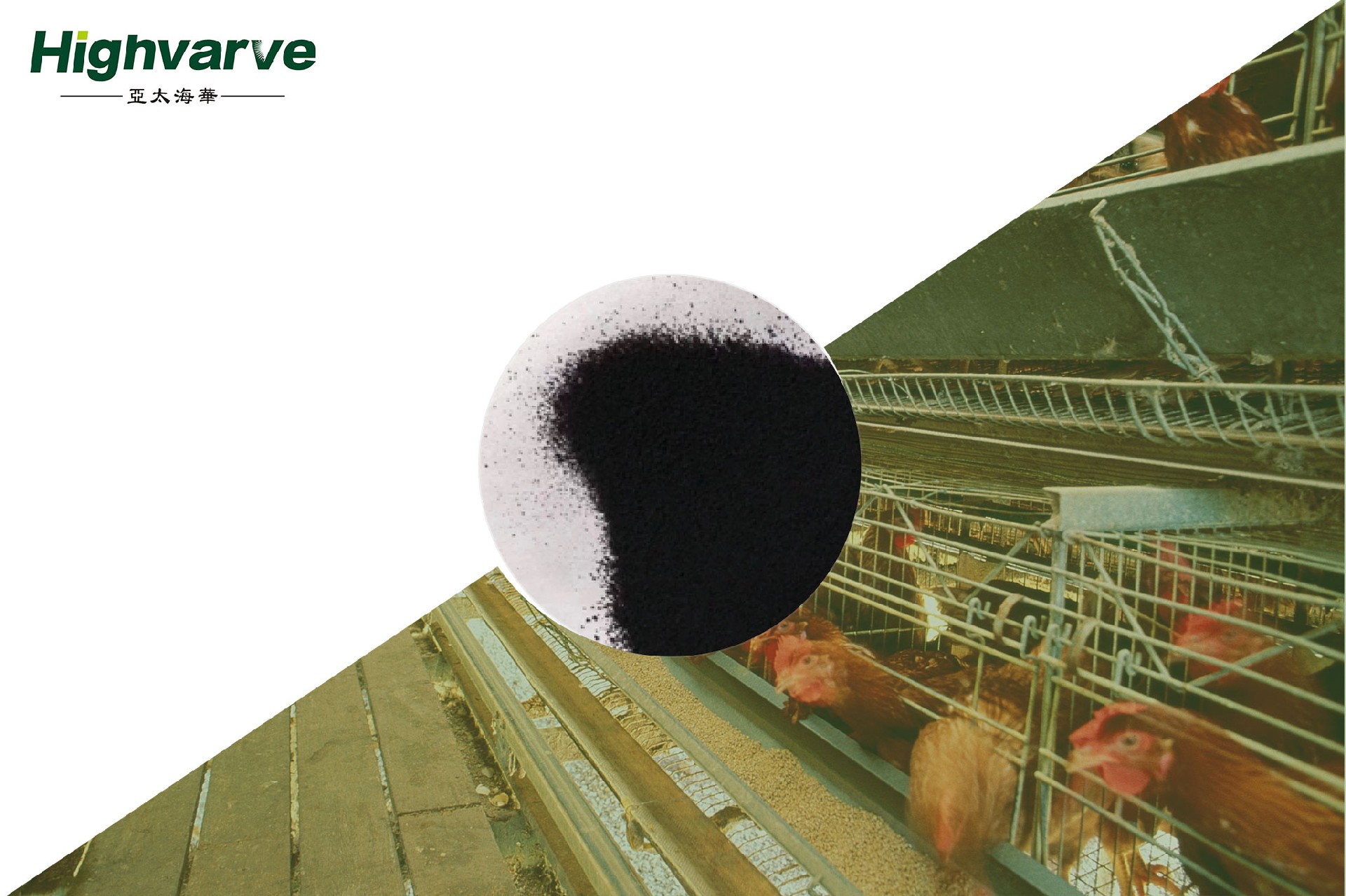 Hollow Sodium Humate Microspheres