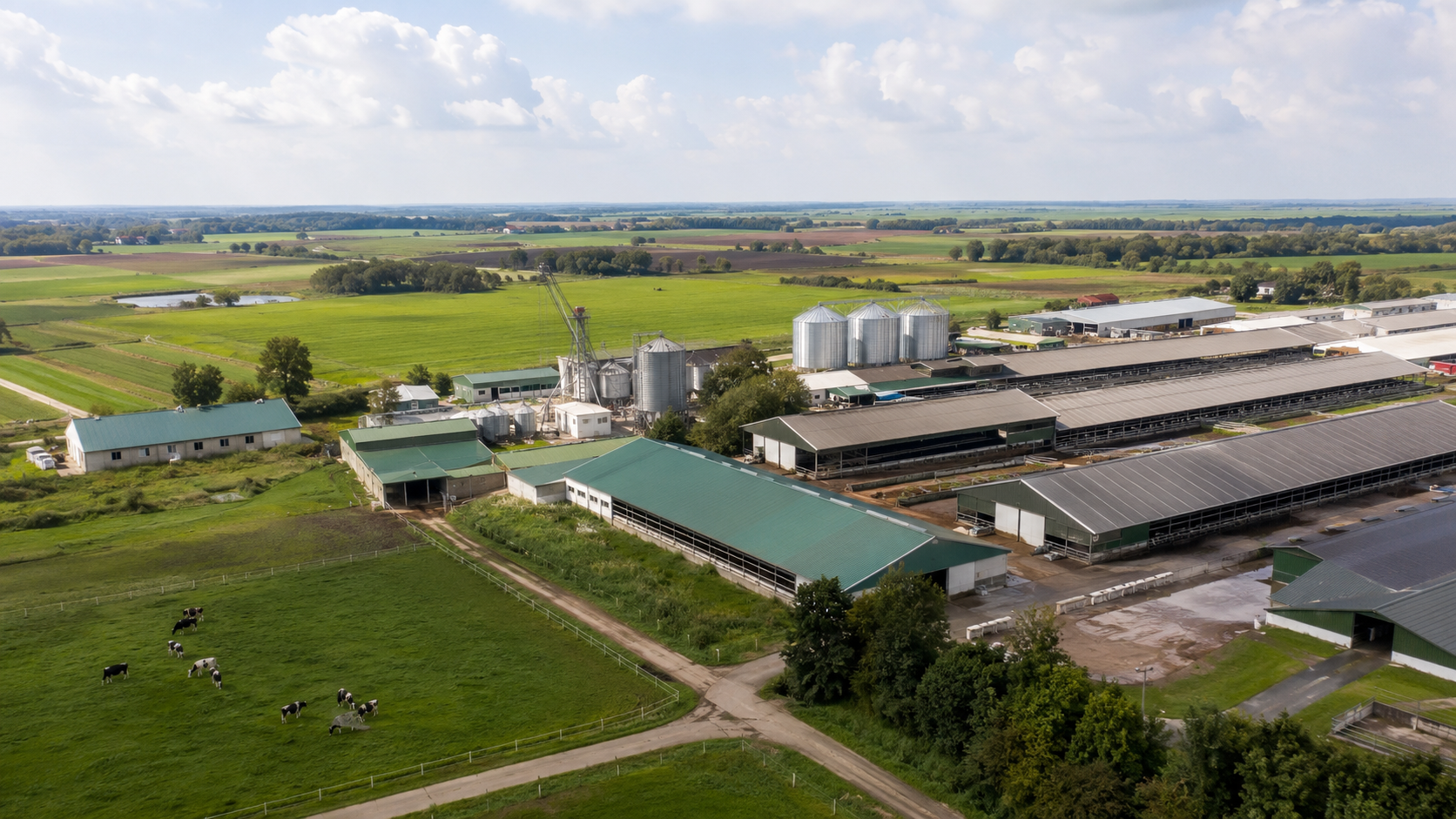 Global Feed Industry Focuses on Improving Feed Efficiency and Animal Health Through Precision Nutrition