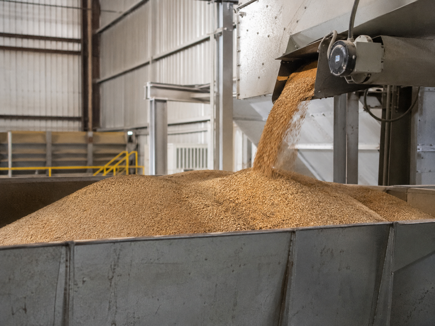 bulk feed raw material handling in agricultural processing facility.png